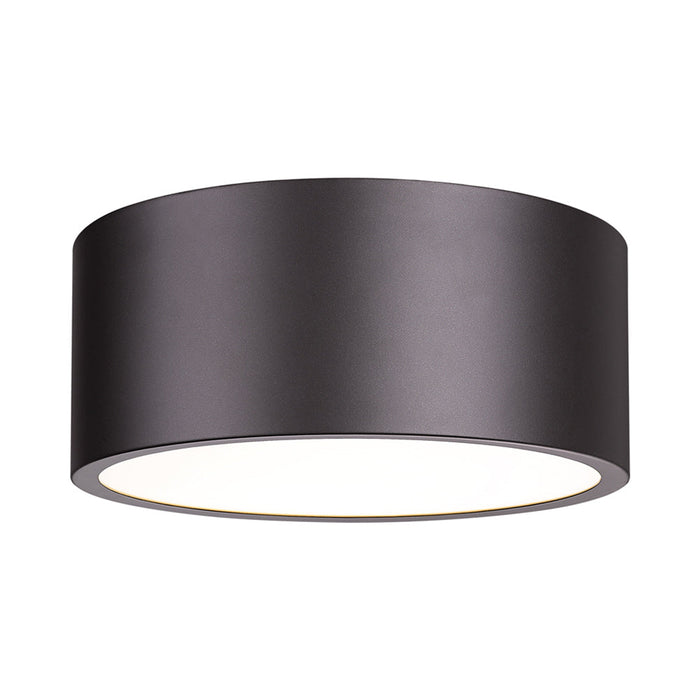 Harley Flush Mount Ceiling Light in Bronze (12-Inch).