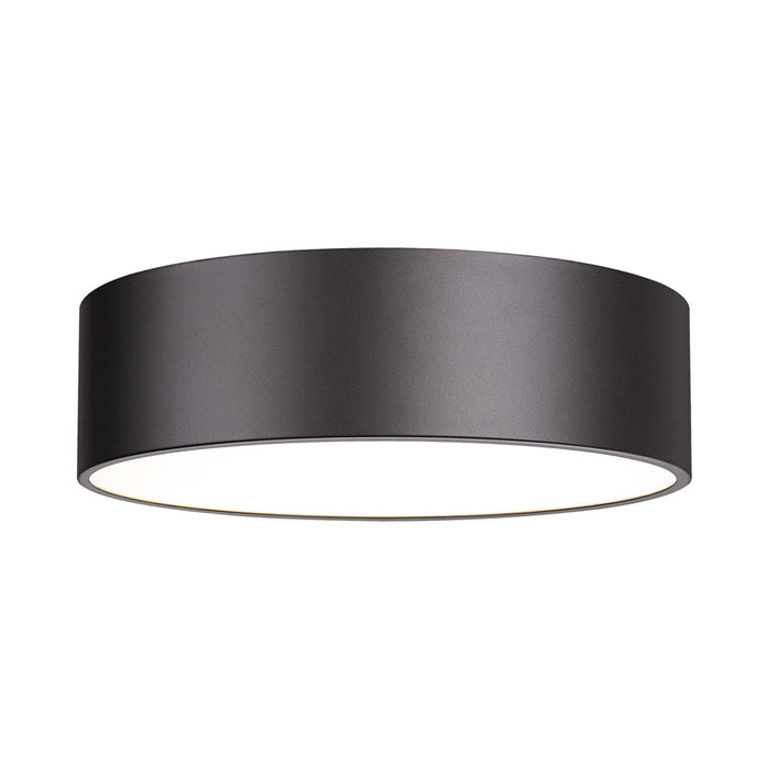 Harley Flush Mount Ceiling Light in Bronze (20-Inch).