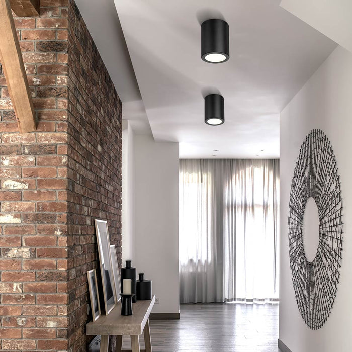 Harley Flush Mount Ceiling Light in living room.