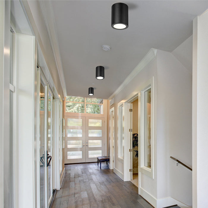 Harley Flush Mount Ceiling Light in living room.