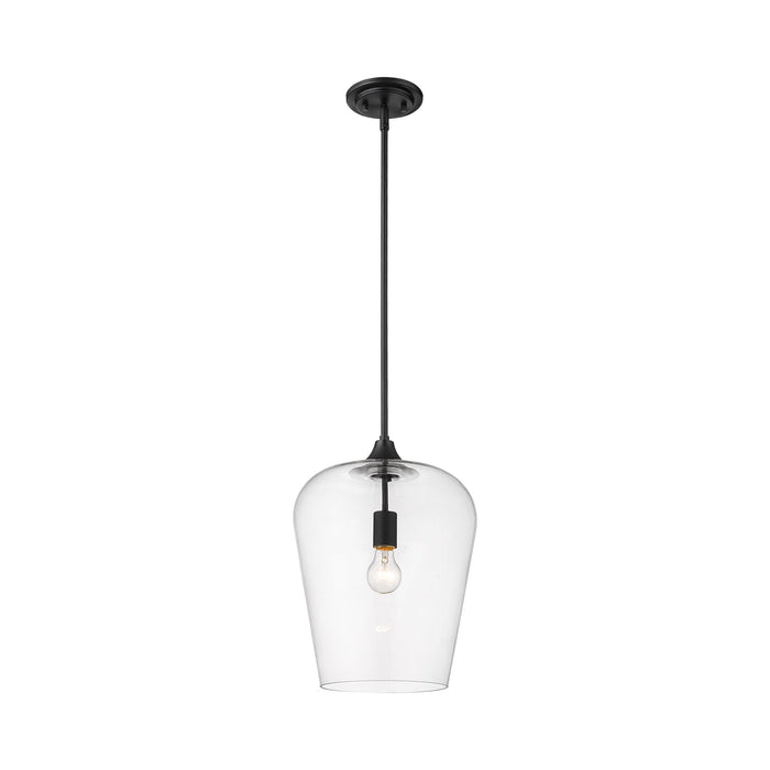 Joliet Pendant Light in Matte Black (12-Inch).