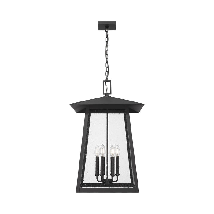 Rainer Outdoor Pendant Light in Detail.