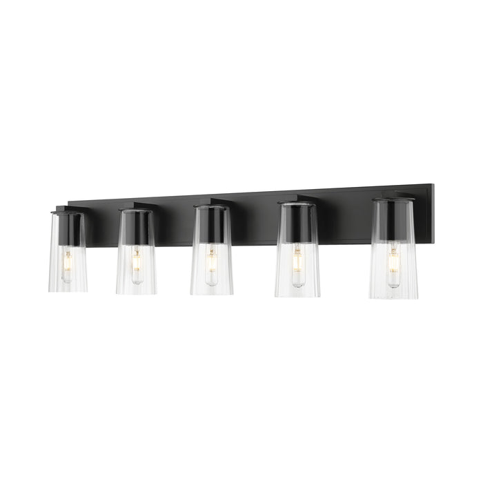 Titus Bath Vanity Light in Matte Black (5-Light).