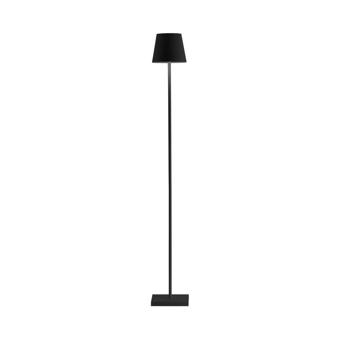 Poldina L LED Floor Lamp in Black