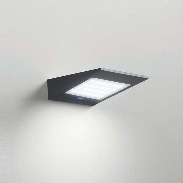 Solar Outdoor LED Wall Light in Detail.