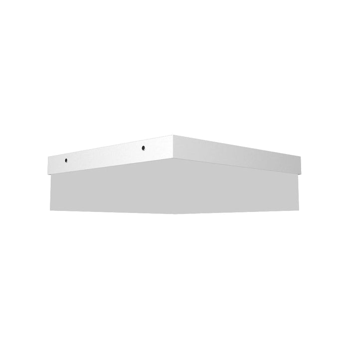 Clean Slim LED Flush Mount Ceiling Light in White (Medium).