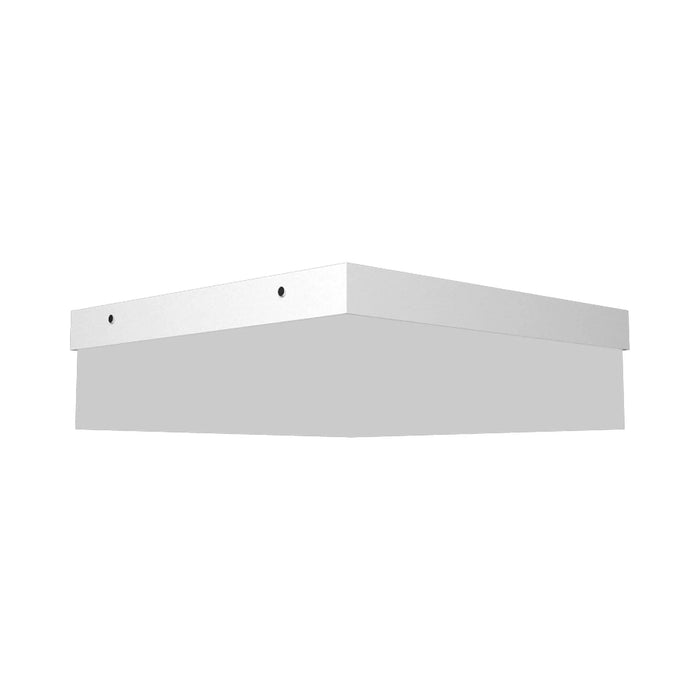 Clean Slim LED Flush Mount Ceiling Light in White (Large).