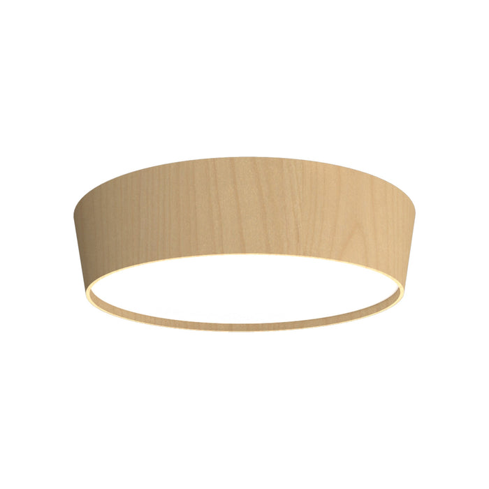 Conical LED Flared Flush Mount Ceiling Light in Maple (25.59-Inch).