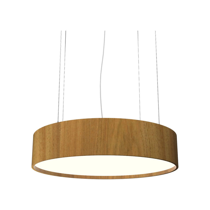 Cylindrical Small LED Pendant Light in Louro Freijo.