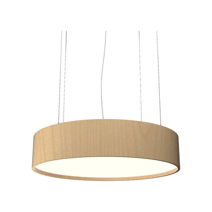 Cylindrical Small LED Pendant Light in Maple.