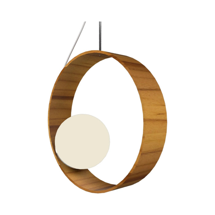 Sfera Hoop Pendant Light in Teak.