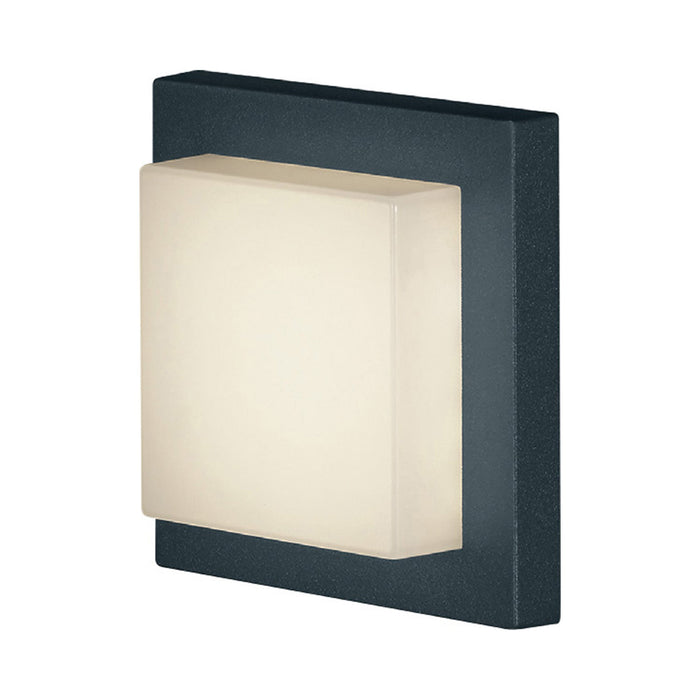Hondo Outdoor LED Wall Light in Charcoal.