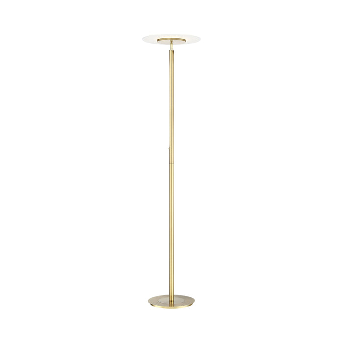 Tampa LED Floor Lamp in Satin Brass (Single Pole).