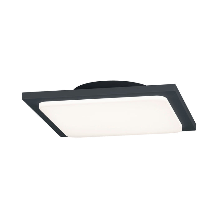 Trave Outdoor LED Patio Light in Charcoal.