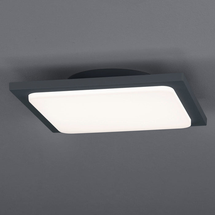 Trave Outdoor LED Patio Light in Detail.