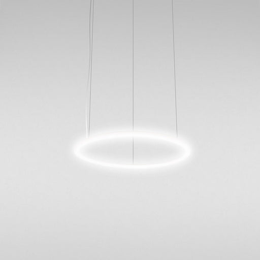 Alphabet of Light LED Circular Suspension Light.