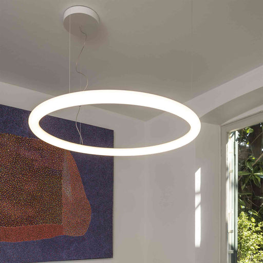 Alphabet of Light LED Circular Suspension Light in living room.