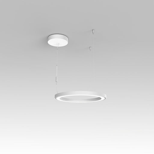 Ripple LED Pendant Light.