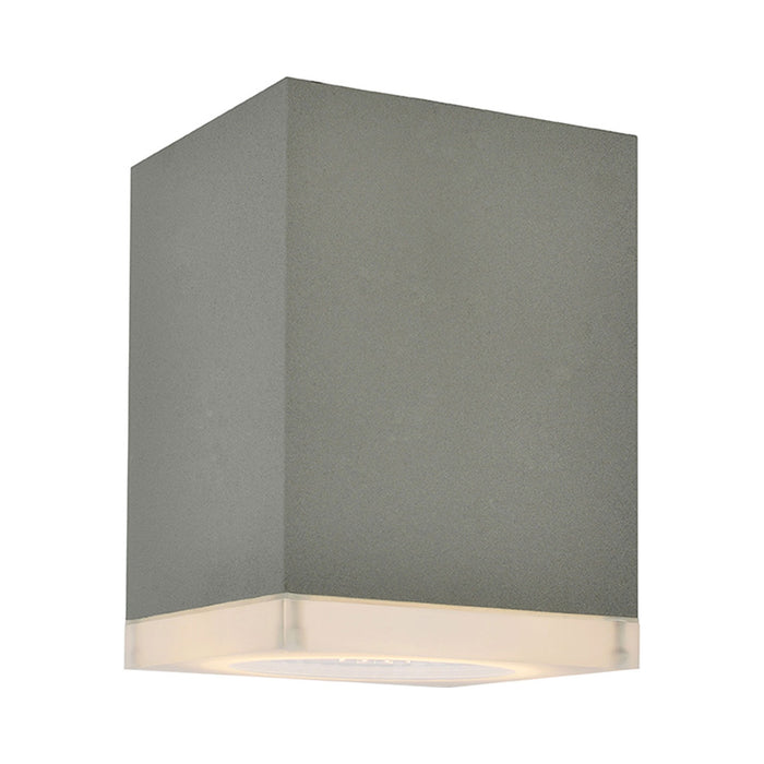 Avenue Outdoor Ceiling Light in Short/Silver.