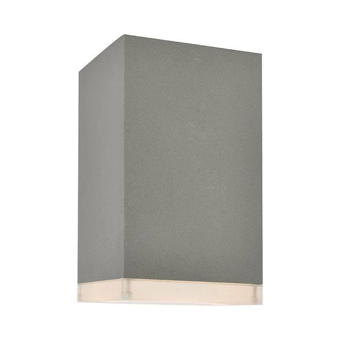 Avenue Outdoor Ceiling Light in Long/Silver.