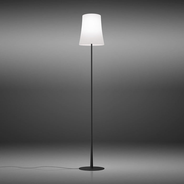 Birdie Easy LED Floor Lamp in Black.