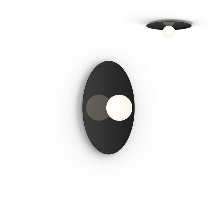 Bola LED Ceiling / Wall Light in Black (Medium).