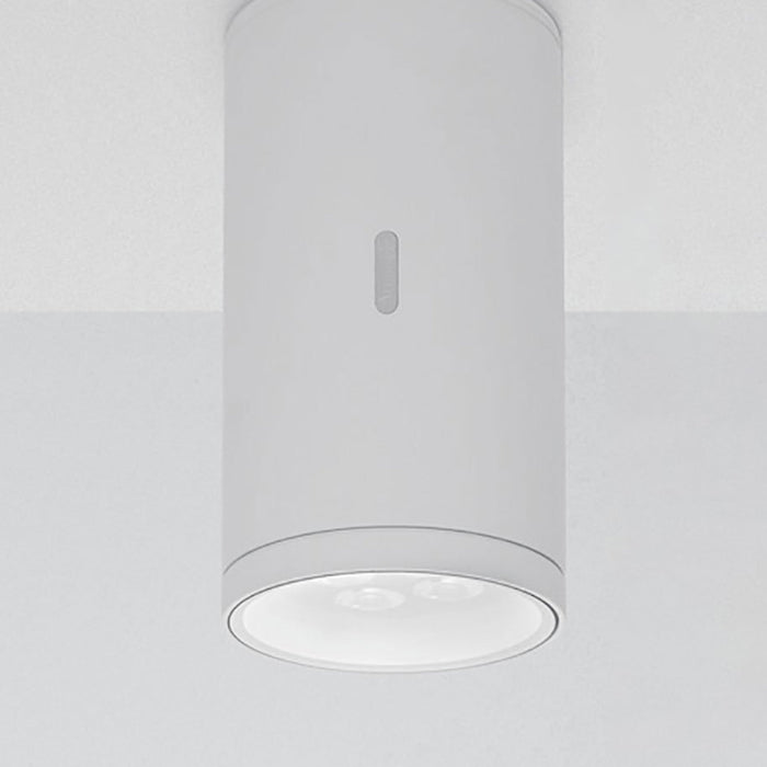 Calumet Outdoor LED Ceiling Light in Detail.