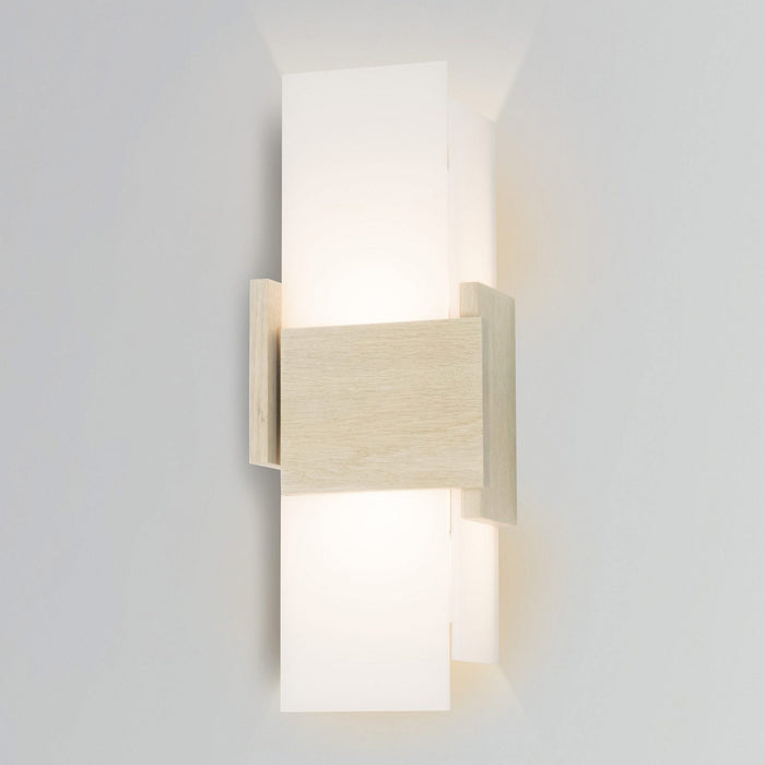 Acuo LED Wall Light in Detail.