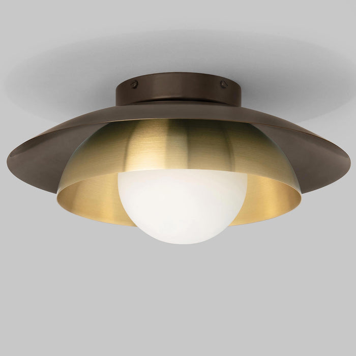 Carapace Ceiling/Wall Light in Detail.