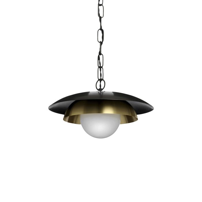 Carapace Pendant Light in Chain.