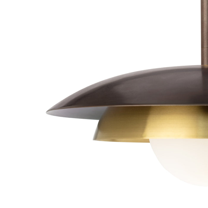 Carapace Pendant Light in Detail.