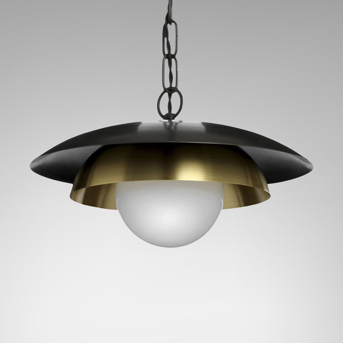 Carapace Pendant Light in Detail.
