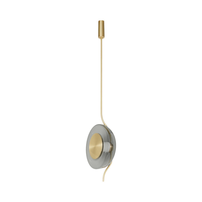 Pendulum LED Pendant Light in Detail.