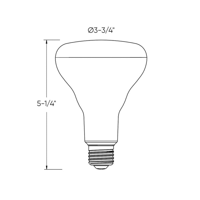 DALS Connect Pro Smart BR30 LED Bulb - line drawing.