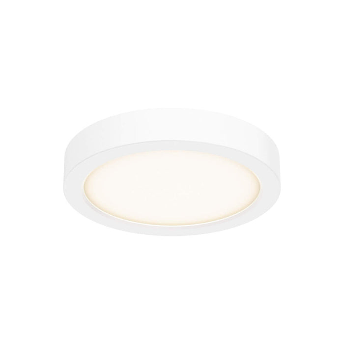 Delta Round Indoor/Outdoor LED Flush Mount Ceiling Light in White (Small).