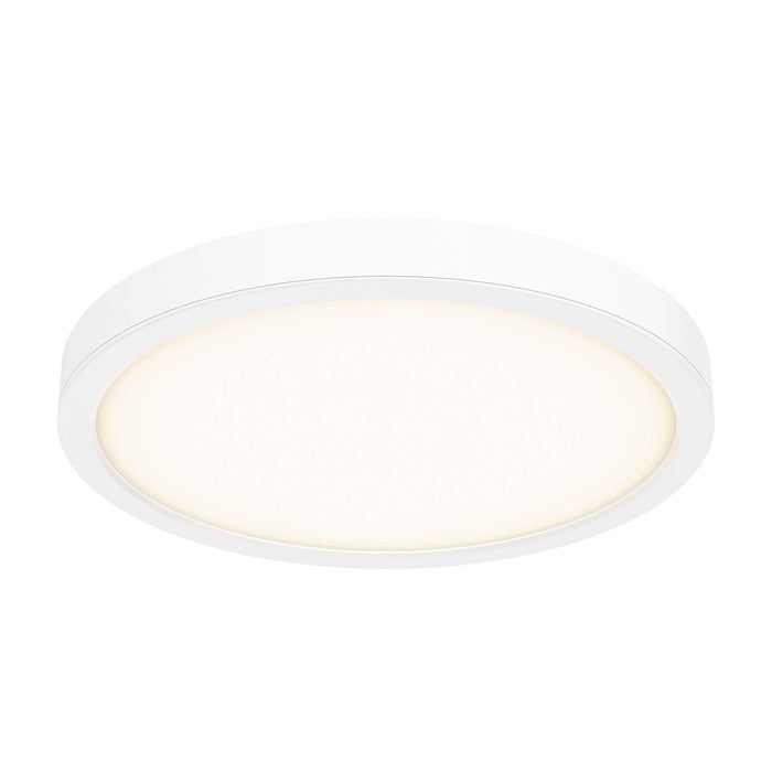 Delta Round Indoor/Outdoor LED Flush Mount Ceiling Light in White (X-Large).