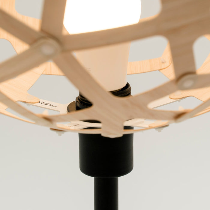 Coral Table Lamp in Detail.