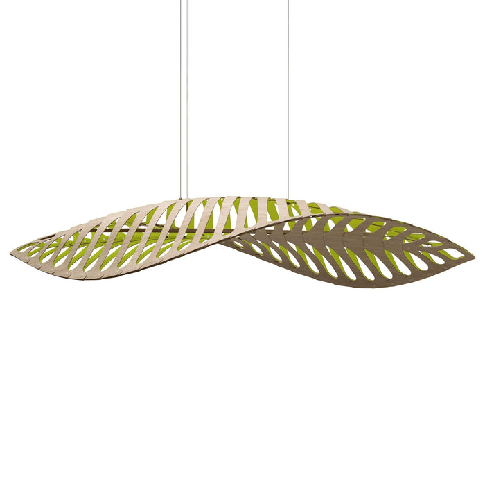 Navicula LED Pendant Light in Bamboo/Lime (Large).
