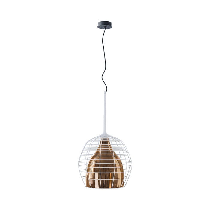 Cage Pendant Light in Detail.