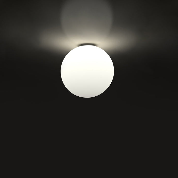 Dioscuri Indoor/Outdoor Ceiling/Wall Light in Large.