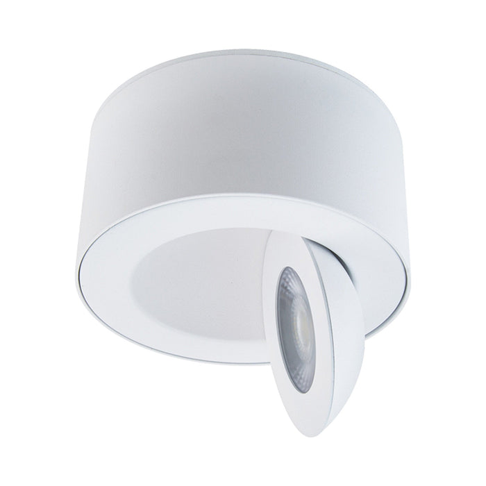 Peek Outdoor LED Flush Mount Ceiling Light in White.