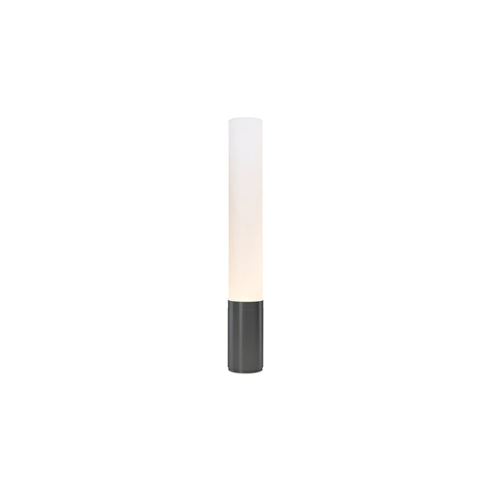 Elise Floor Lamp in Black/Aluminum (Small).