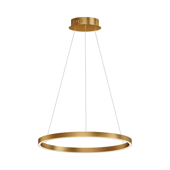Groove LED Pendant Light in 235-Inch/Gold.