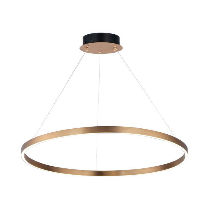 Groove LED Pendant Light in 315-Inch/Gold.