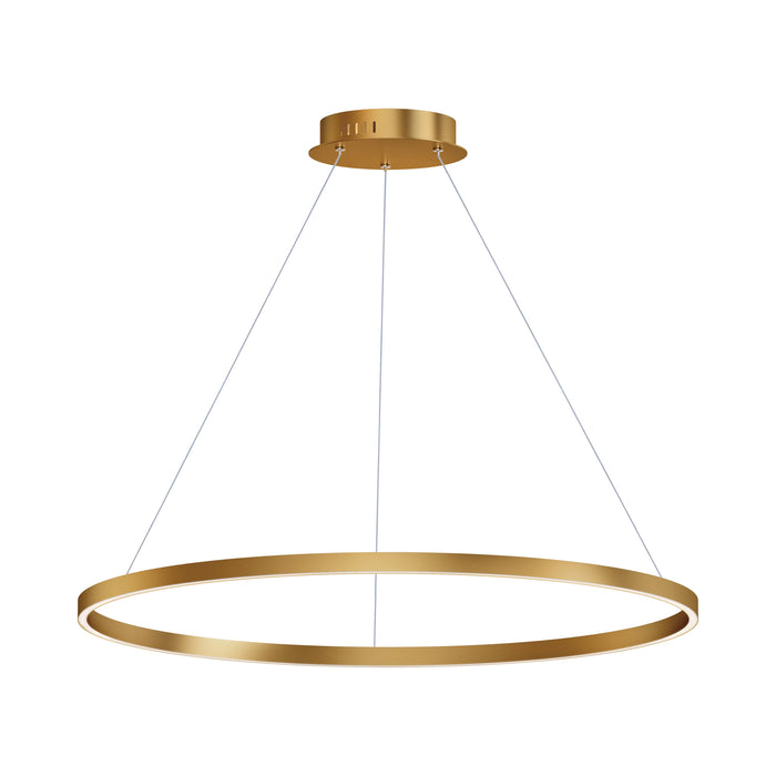 Groove LED Pendant Light in 395-Inch/Gold.