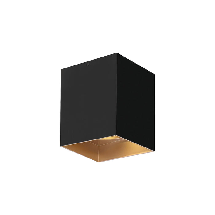 Exo LED Flush Mount Ceiling Light in Small/20-Degree/Matte Black / Gold Haze.
