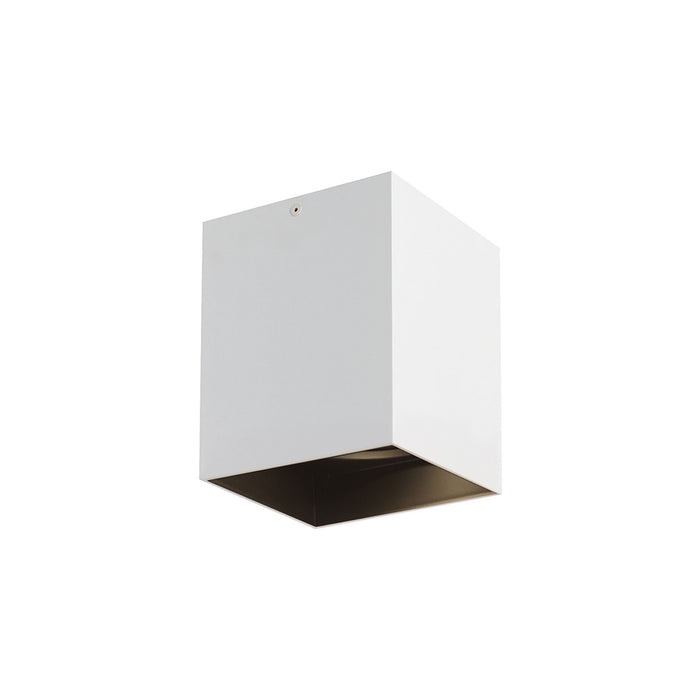 Exo LED Flush Mount Ceiling Light in Small/20-Degree/Matte White / Black.
