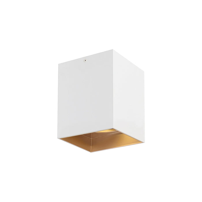 Exo LED Flush Mount Ceiling Light in Small/20-Degree/Matte White / Gold Haze.