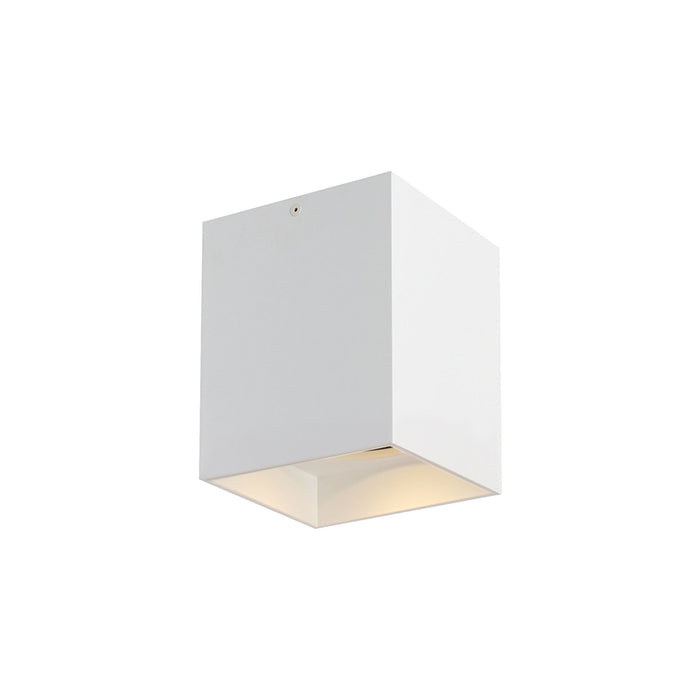 Exo LED Flush Mount Ceiling Light in Small/20-Degree/Matte White / White.