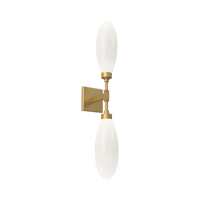 Fiori LED Wall Light in Gilded Brass (2-Light).